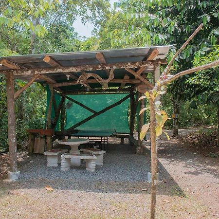 Tree Houses Hotel Costa Rica Florencia Ngoại thất bức ảnh