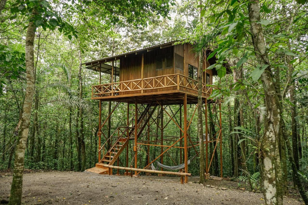 Tree Houses Hotel Costa Rica Florencia Ngoại thất bức ảnh