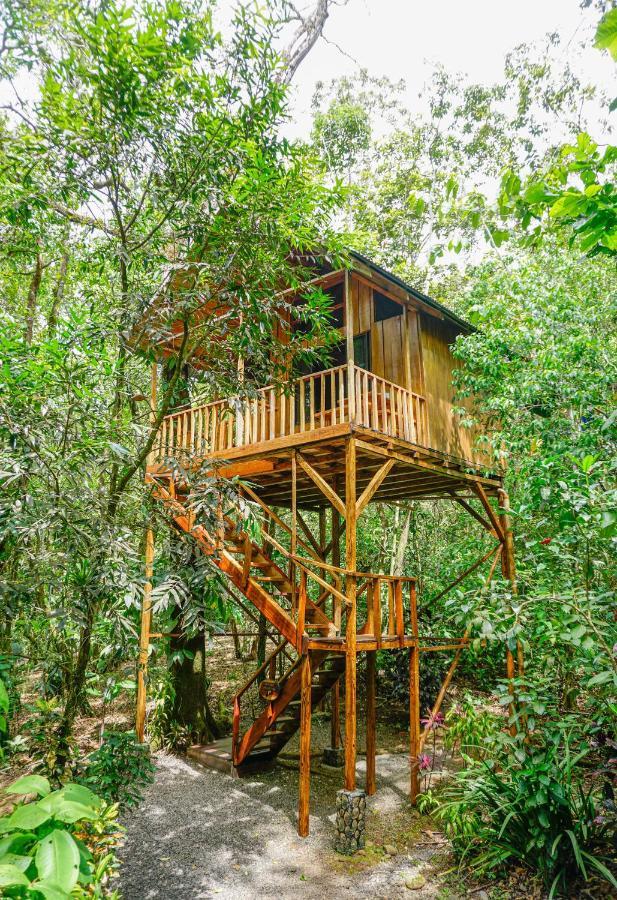 Tree Houses Hotel Costa Rica Florencia Ngoại thất bức ảnh