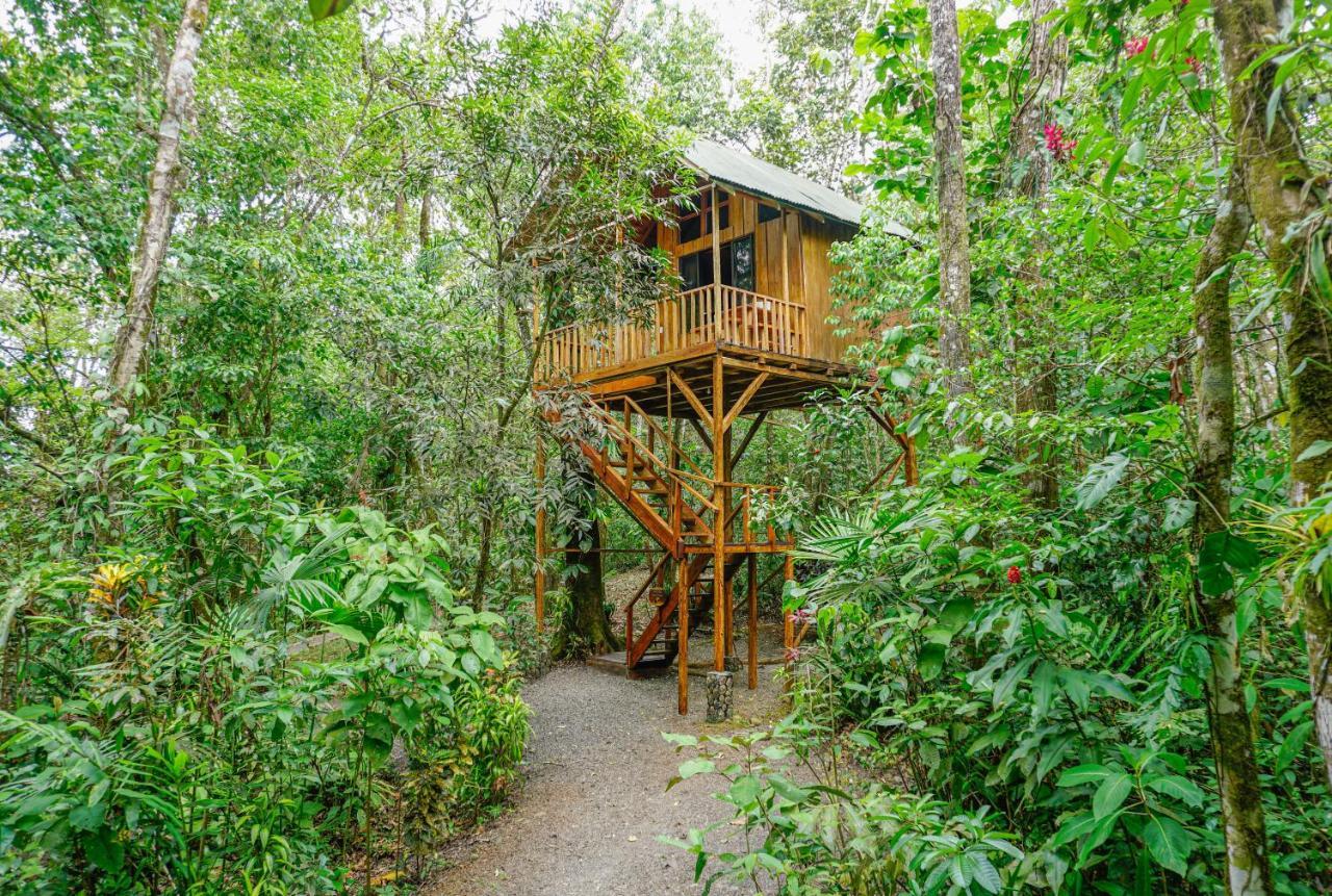 Tree Houses Hotel Costa Rica Florencia Ngoại thất bức ảnh