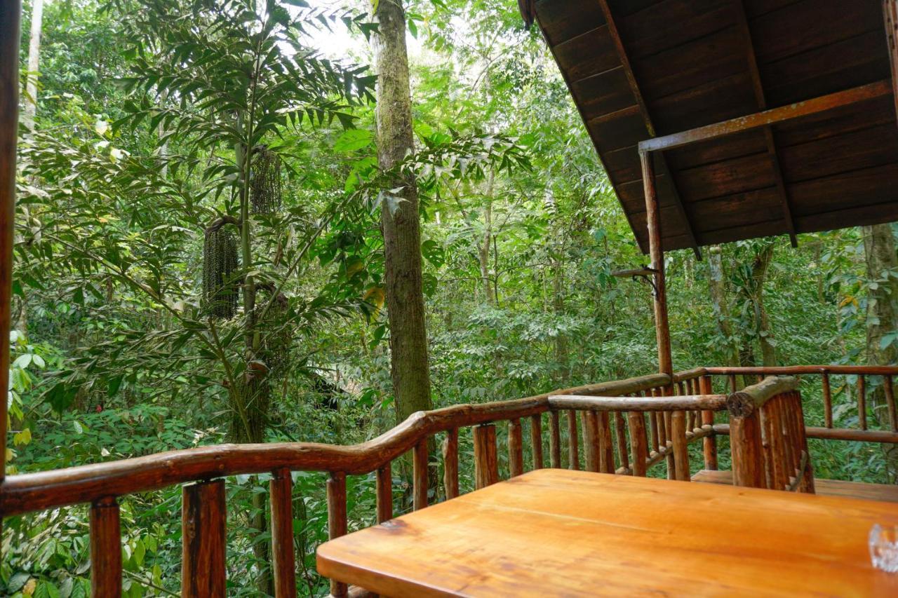 Tree Houses Hotel Costa Rica Florencia Ngoại thất bức ảnh