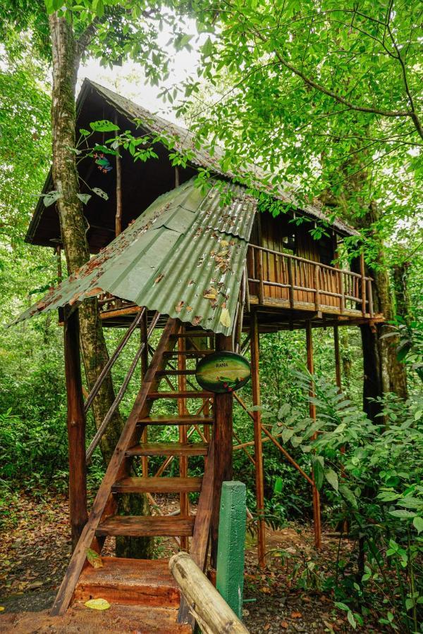 Tree Houses Hotel Costa Rica Florencia Ngoại thất bức ảnh