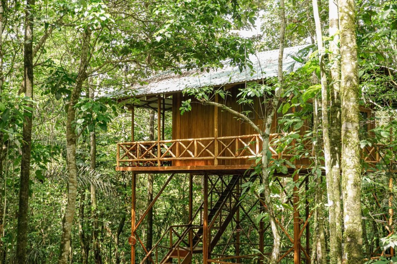 Tree Houses Hotel Costa Rica Florencia Ngoại thất bức ảnh