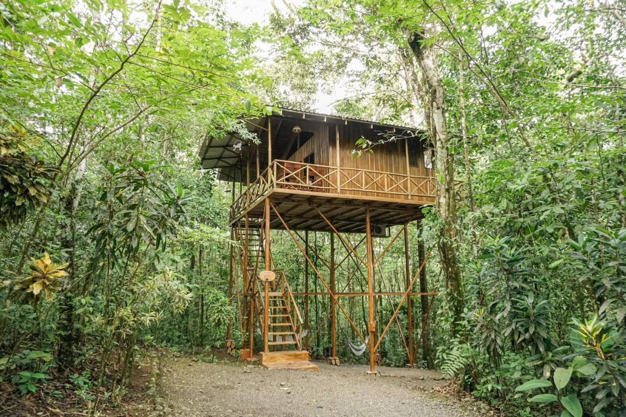 Tree Houses Hotel Costa Rica Florencia Ngoại thất bức ảnh