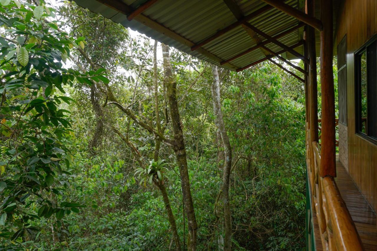 Tree Houses Hotel Costa Rica Florencia Ngoại thất bức ảnh