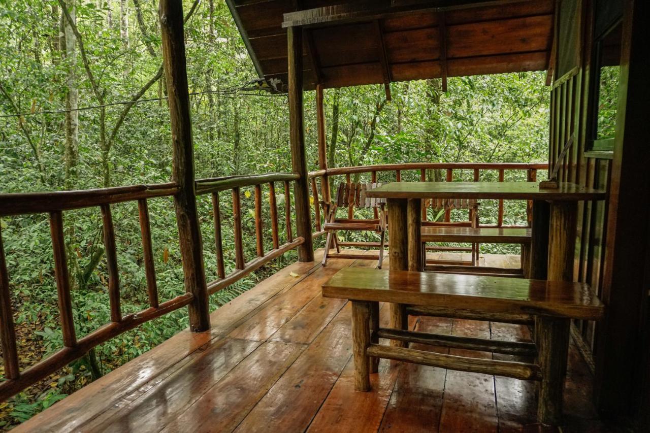 Tree Houses Hotel Costa Rica Florencia Ngoại thất bức ảnh