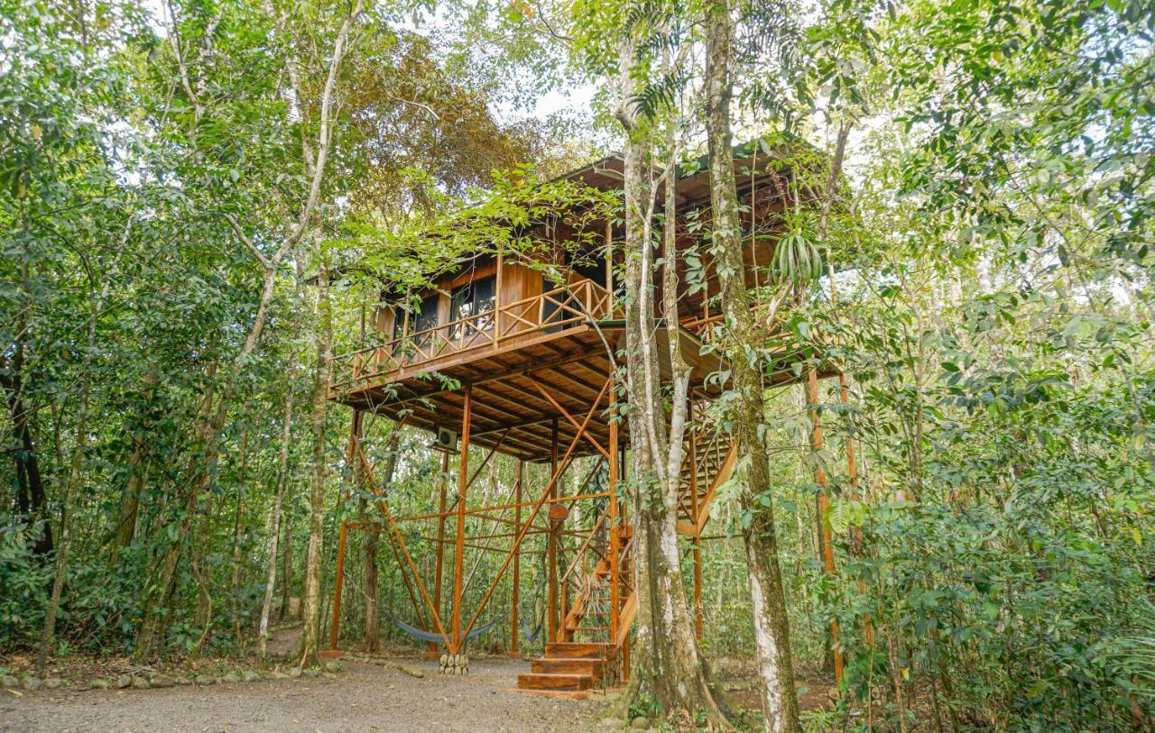 Tree Houses Hotel Costa Rica Florencia Ngoại thất bức ảnh