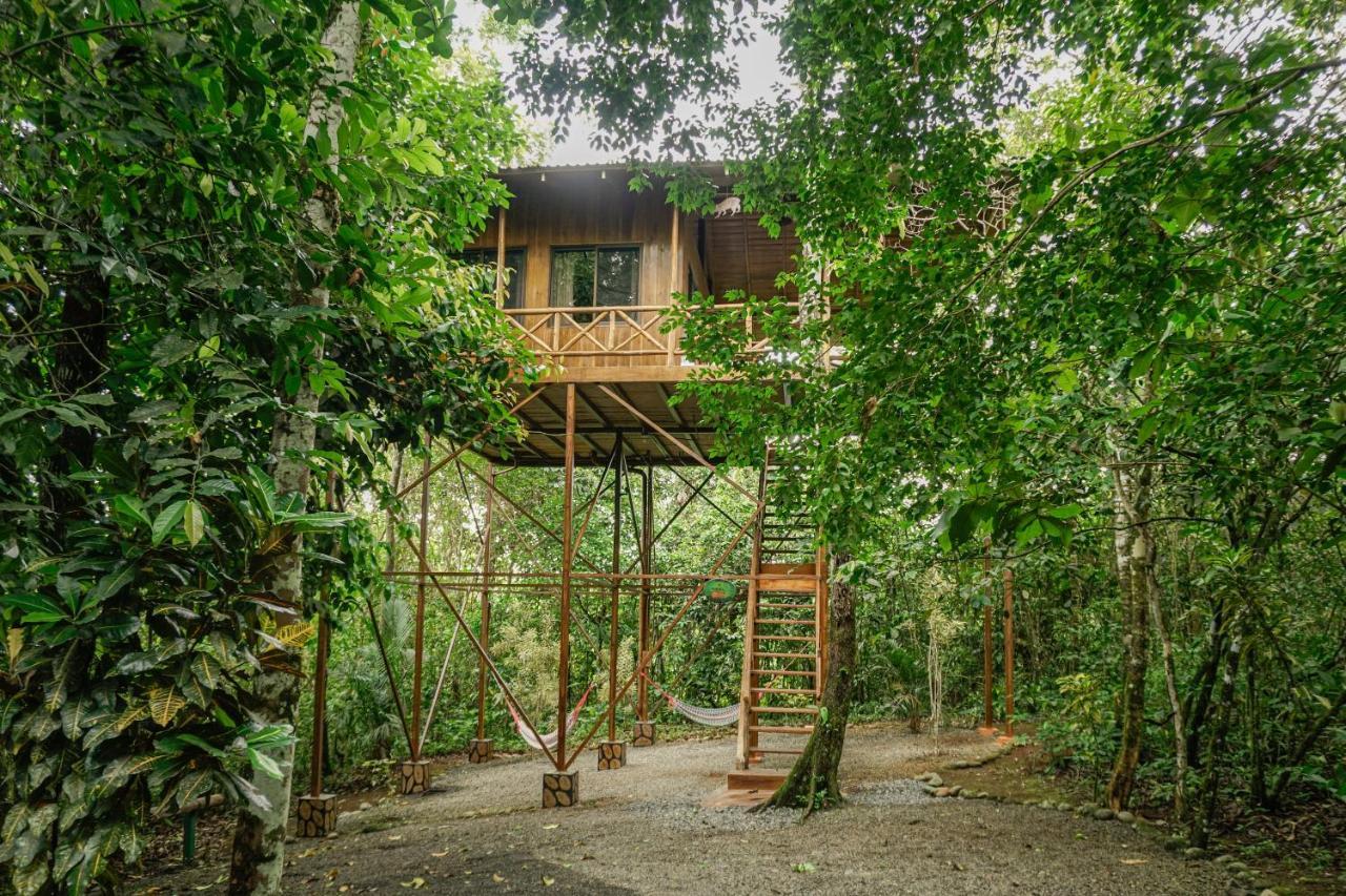 Tree Houses Hotel Costa Rica Florencia Ngoại thất bức ảnh