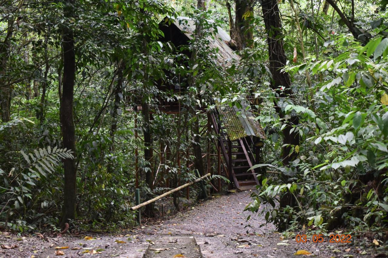 Tree Houses Hotel Costa Rica Florencia Ngoại thất bức ảnh